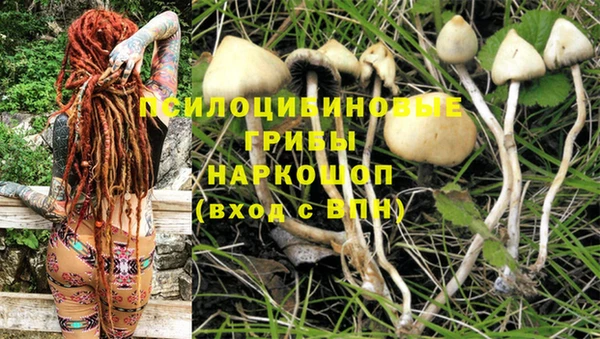 гашик Абинск